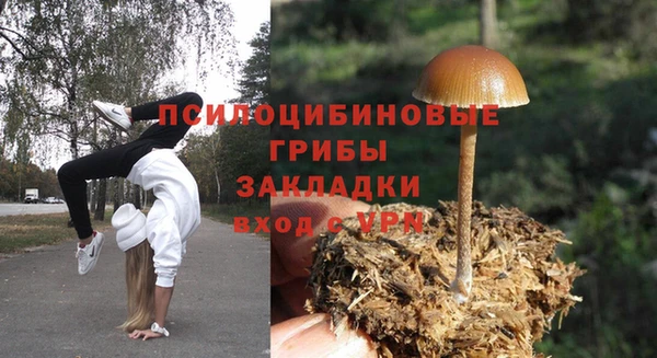 ECSTASY Алзамай