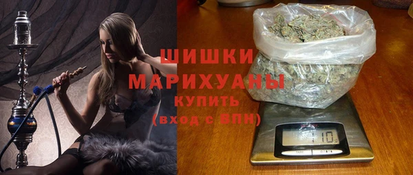 ECSTASY Алзамай