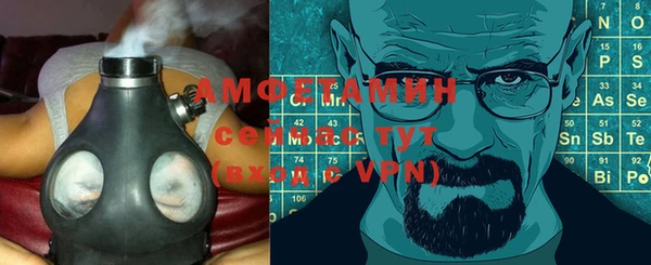 ECSTASY Алзамай