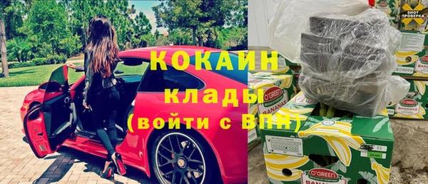 ECSTASY Алзамай